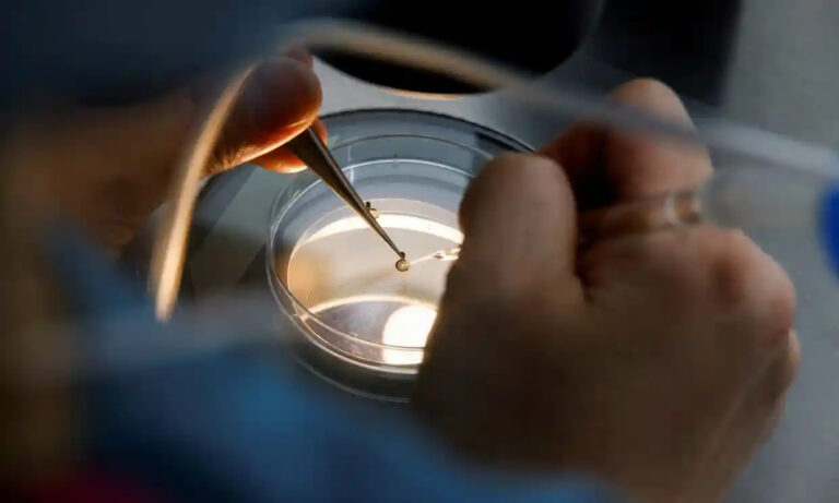 Read more about the article ‘Dramatic rise’ in number of women freezing eggs in UK