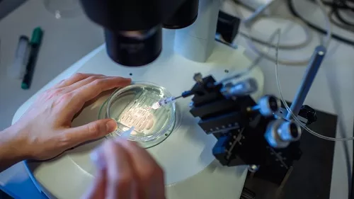 You are currently viewing CRISPR treatment has been greenlit in UK in global first. Here’s who it could help