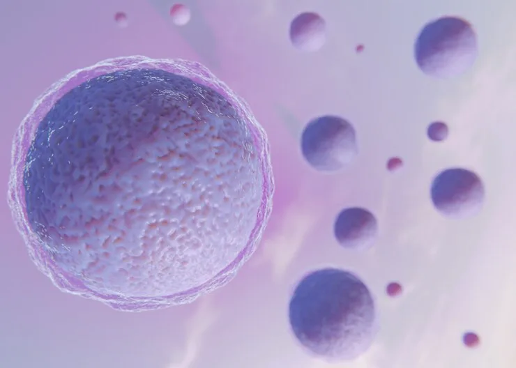 You are currently viewing Egg Freezing: What It Is and Why Women Are Choosing It