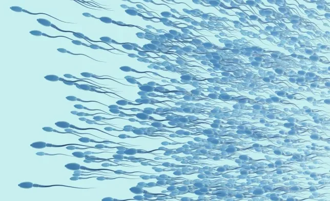 You are currently viewing Men are becoming less fertile – scientists may have just found a reason why