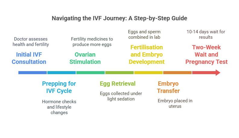 IVF Treatment Guide: From Consultation to Conception