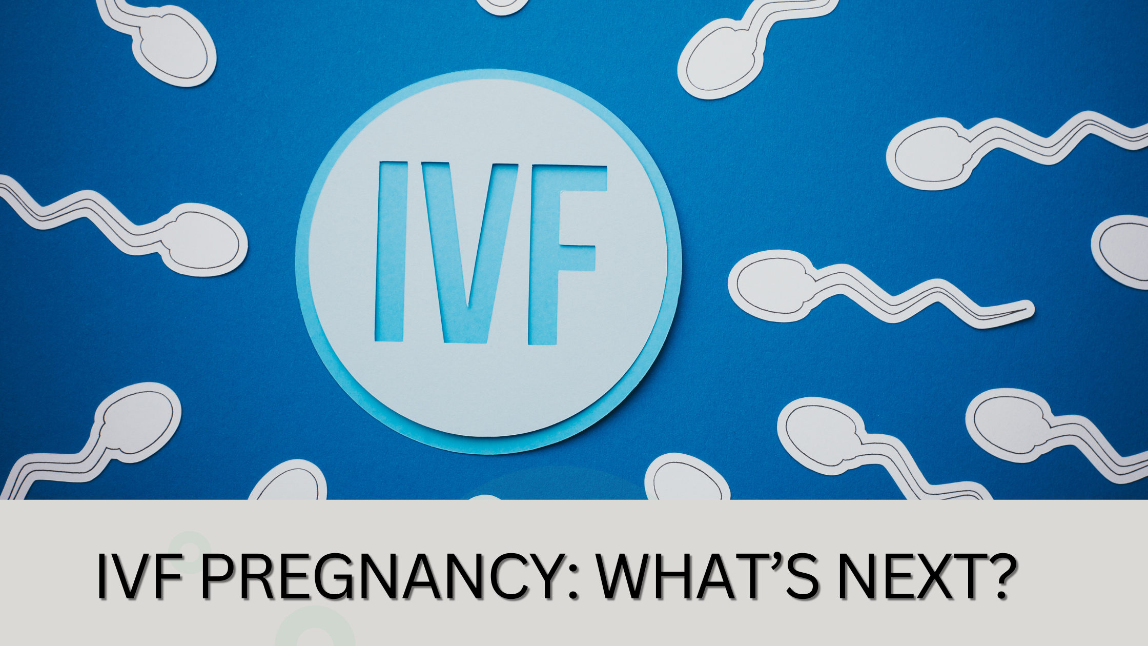 You are currently viewing IVF Pregnancy: What’s Next?