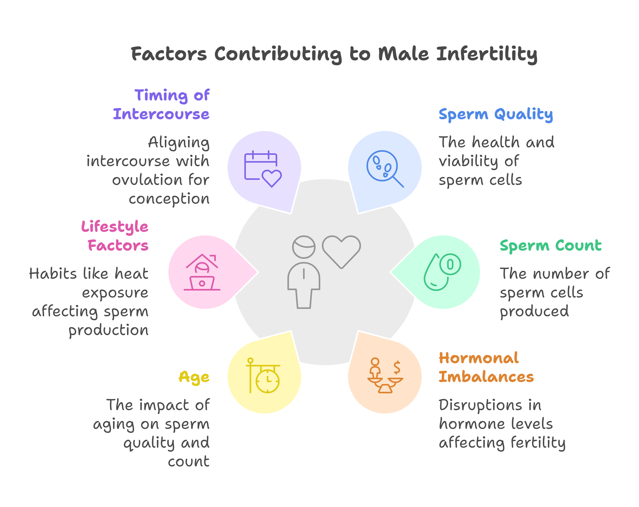 Real Factors Affecting Male Fertility